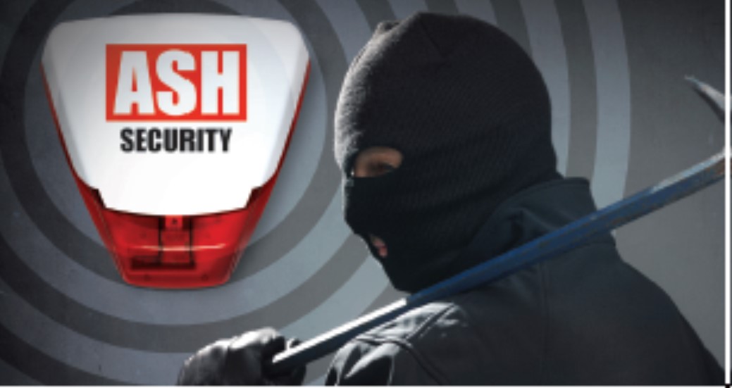 Security alarm in background with a burglar in the foreground